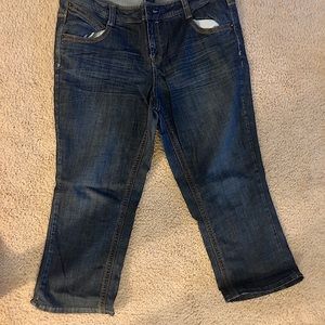 Lane Bryant Jeans (Cropped)